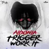 Aidonia - Trigger Work It - Single